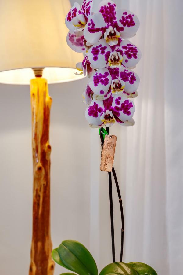 Ikia Aretousa คาโตดารัตโซ ภายนอก รูปภาพ